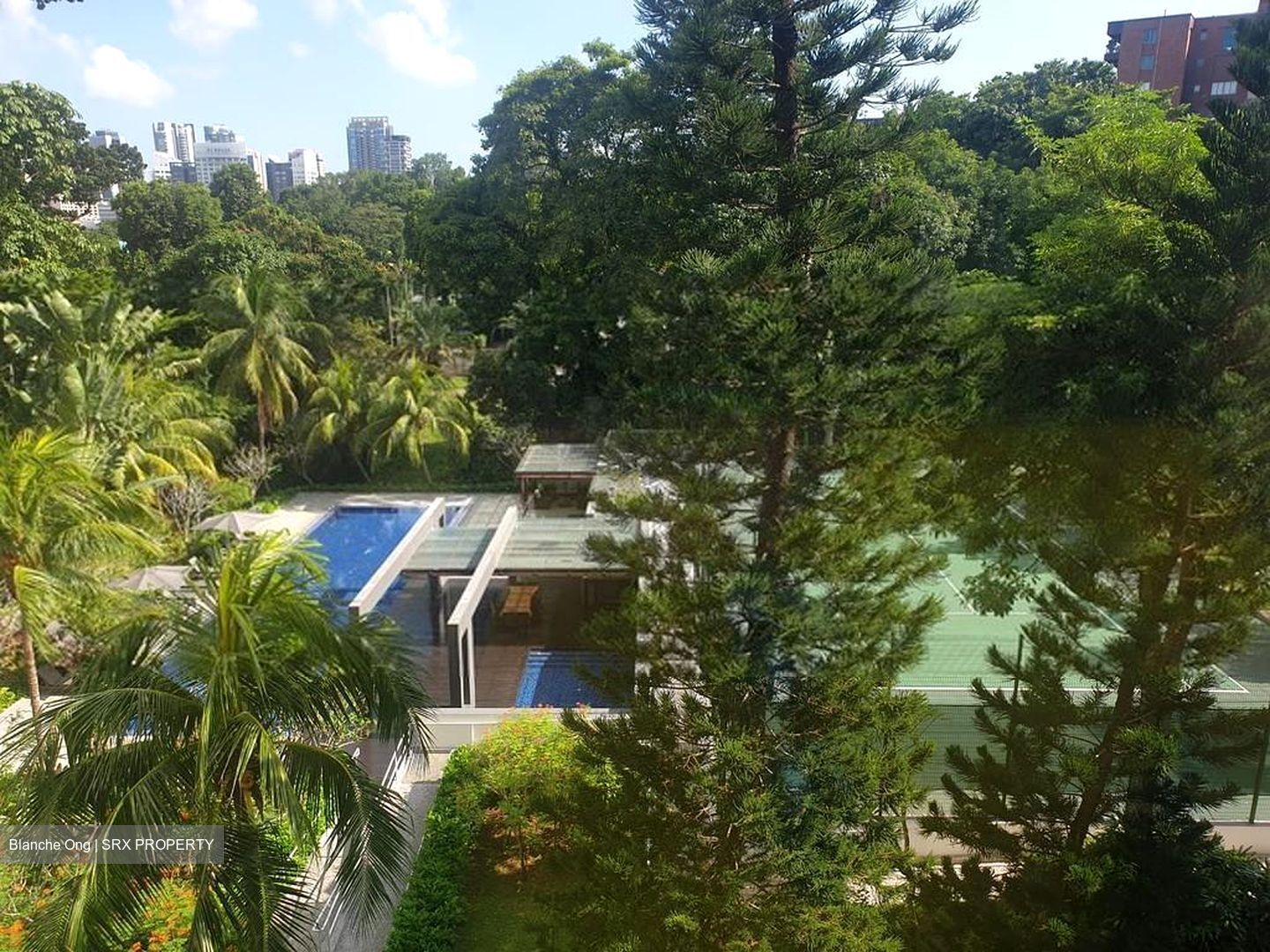 Nassim Regency (D10), Condominium #509218741